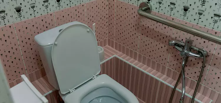 Meeting Diverse Needs With Accessible Restroom Solutions in Edina, MN